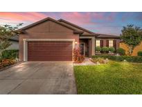 Attractive one-story house with brown garage door and landscaped lawn at 3907 Baja Dr, St Cloud, FL 34772