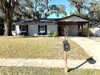 Charming single story home with carport and well-maintained lawn at 916 S Park Ct, Kissimmee, FL 34741