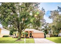 One-story house with a two-car garage and lush landscaping at 3445 Sleepy Hill Oaks St, Lakeland, FL 33810