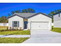 One-story house with gray shutters, attached garage, and well-maintained lawn at 13470 Leaping Water Way, Astatula, FL 34705