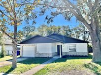 Newly renovated home with a modern exterior and landscaped lawn at 319 James Pl, Saint Cloud, FL 34769