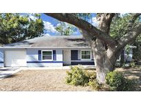 Cute blue house with a large tree in the front yard at 7216 Fox Chase Dr, Lakeland, FL 33810