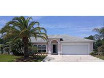 Single-story home with a pink exterior, palm trees, and a white garage door at 2514 Sage Dr, Kissimmee, FL 34758