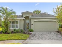 One-story house with light green walls, a paved driveway, and landscaping at 1223 Ardwell Ct, Deland, FL 32724