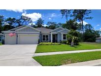 View 384 Nowell Loop Deland FL