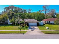 Single-story home with attached garage and well-manicured lawn at 3454 Country Walk Dr, Port Orange, FL 32129