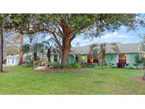 Charming light teal house with mature landscaping and large oak tree at 2 Walnut Ct, Ormond Beach, FL 32174