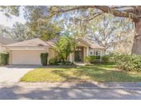 One-story house with beige walls, brown roof, and a green door, nicely landscaped at 32543 Crystal Breeze Ln, Leesburg, FL 34788