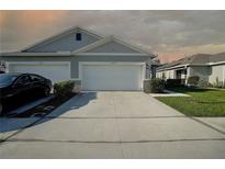 Two-car garage with driveway, landscaping, and a neutral color palette at 20029 Royal Tern Ct, Leesburg, FL 34748