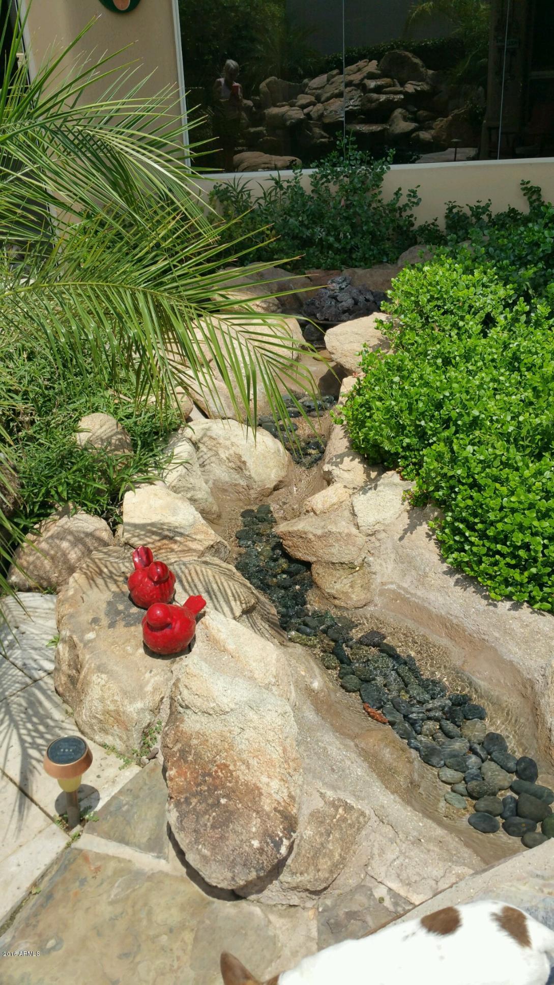 Photo #11
