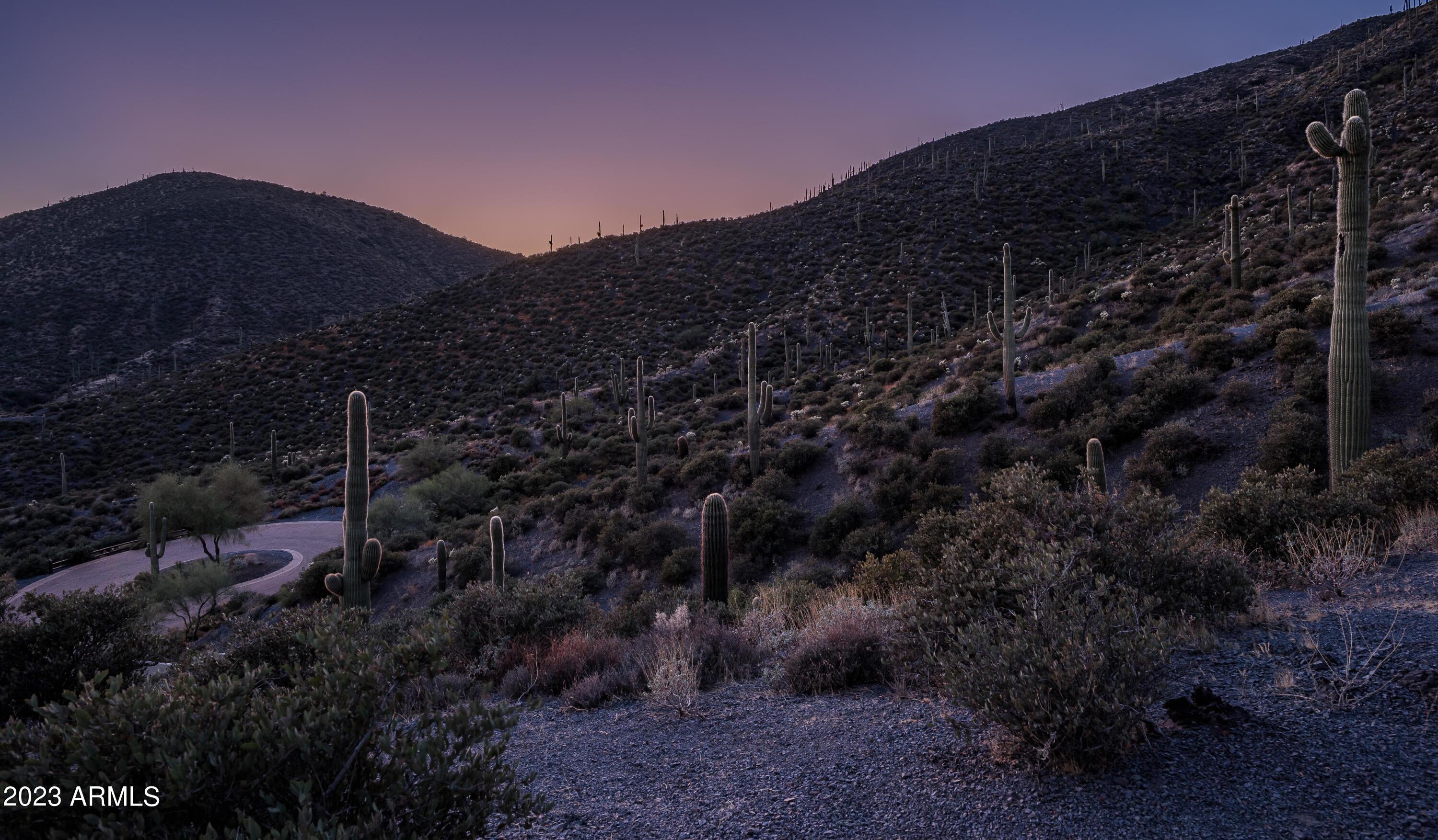 Photo #50