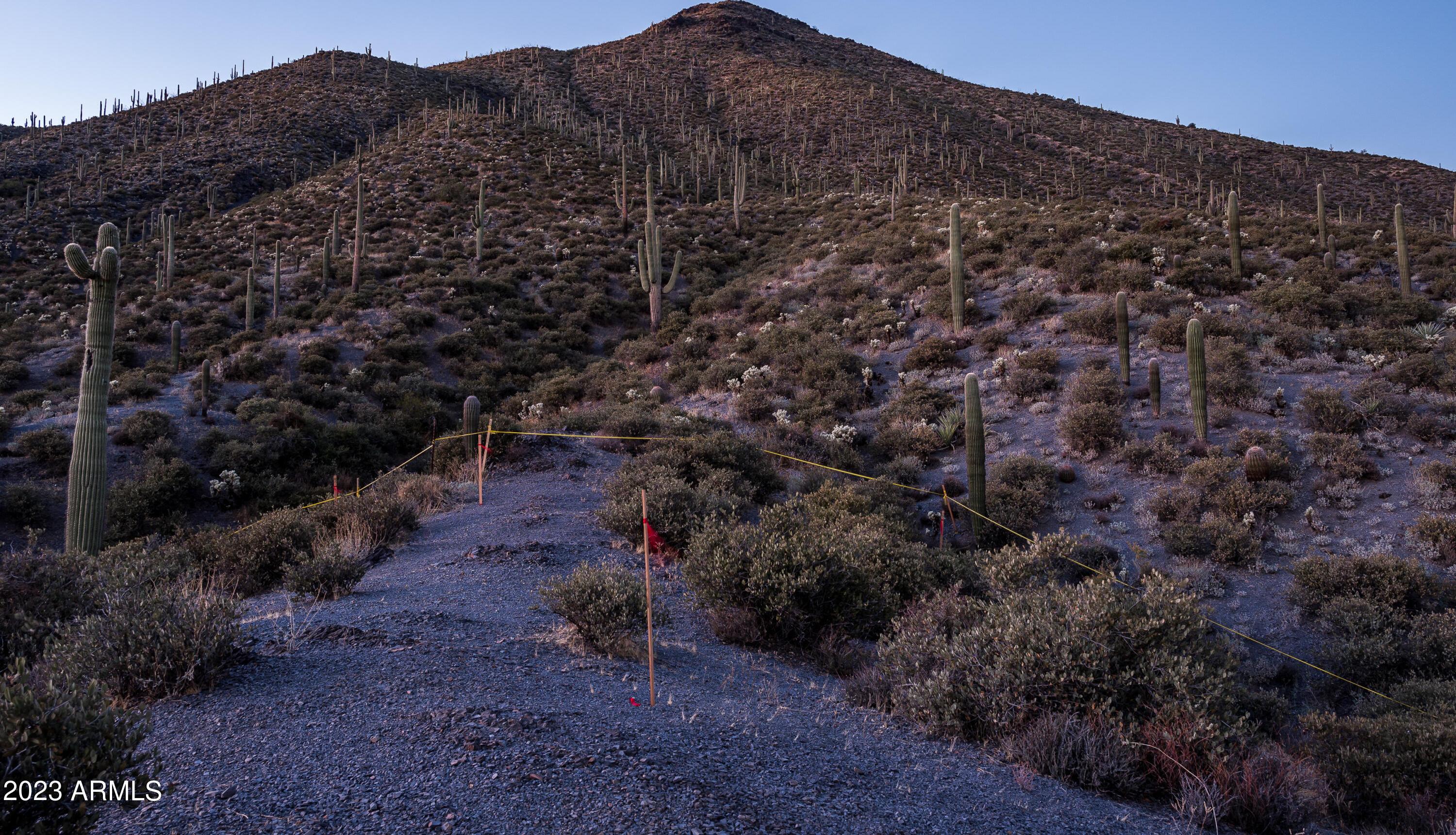 Photo #64