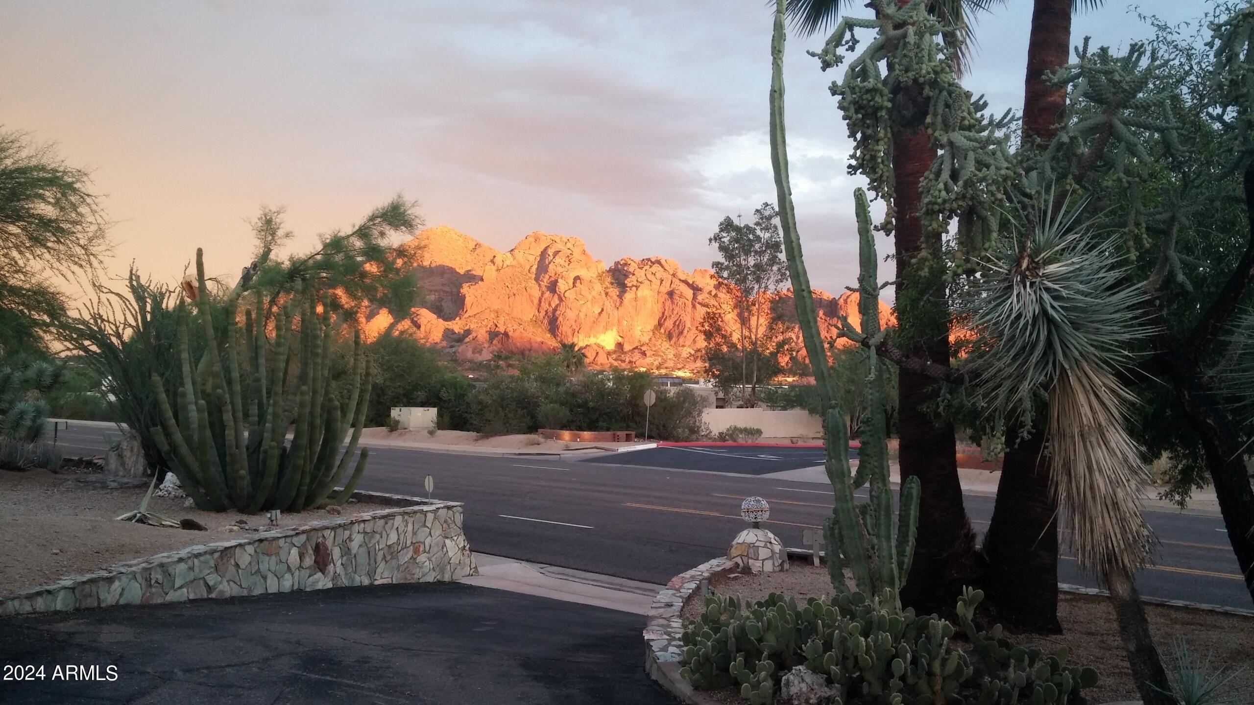 Photo #20