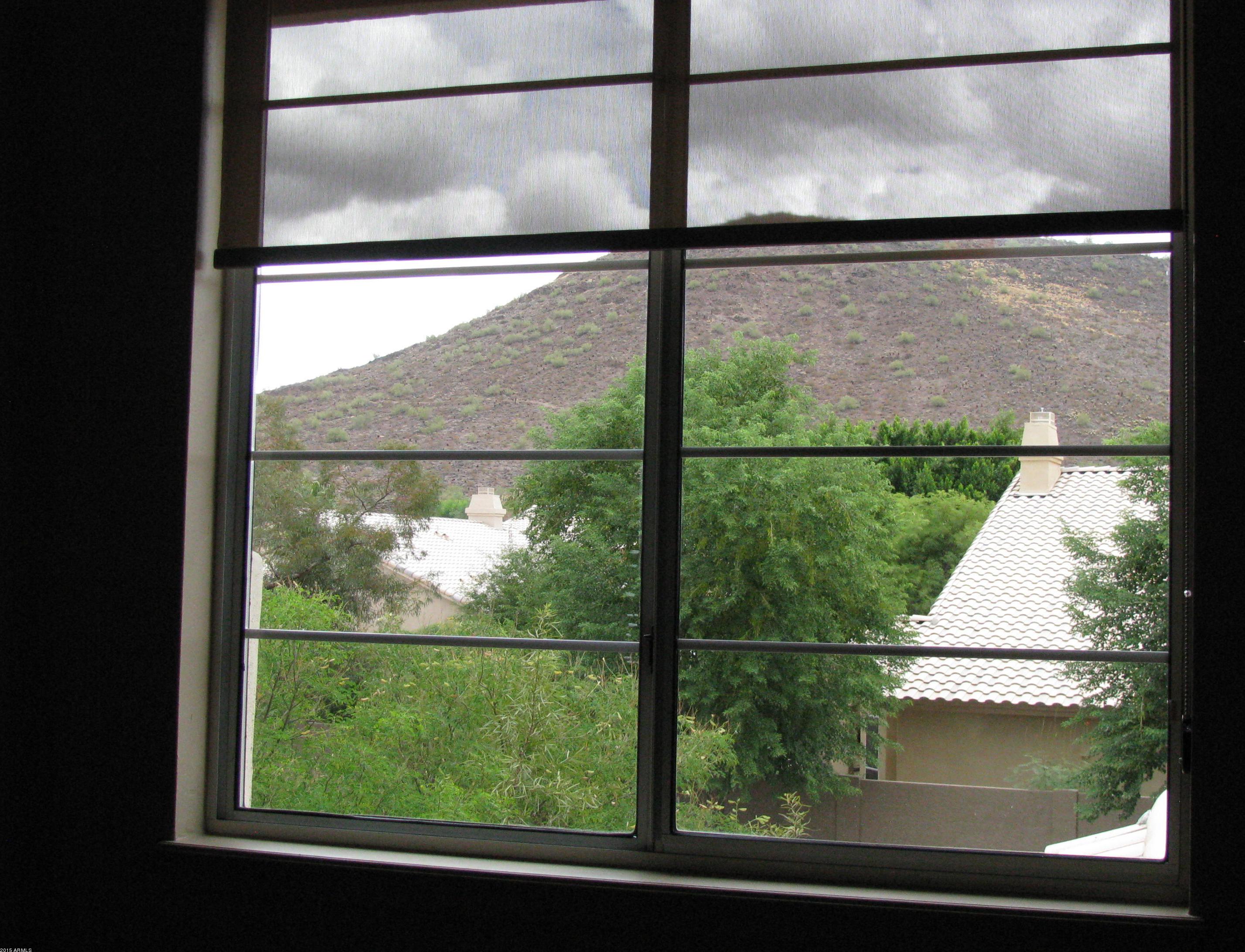 Photo #35