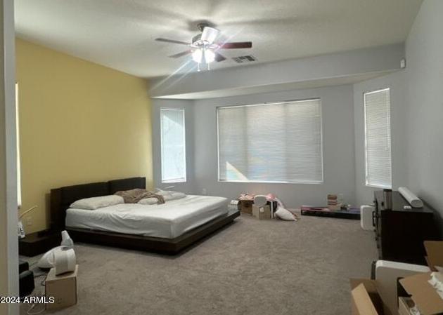 Photo #13
