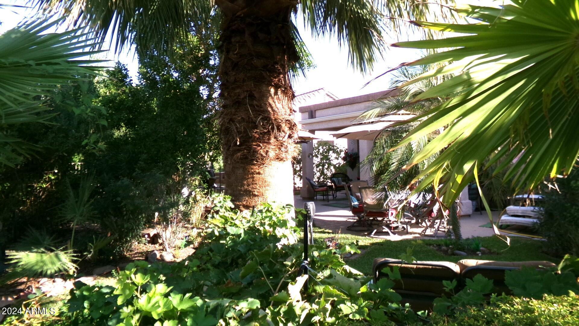 Photo #18