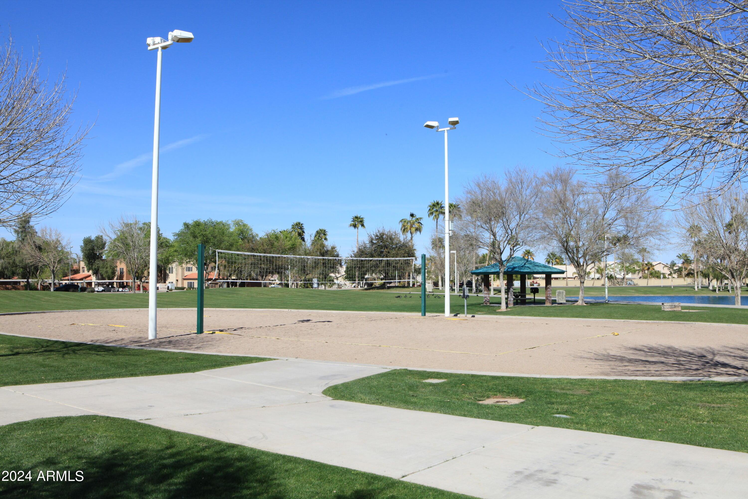 Photo #31