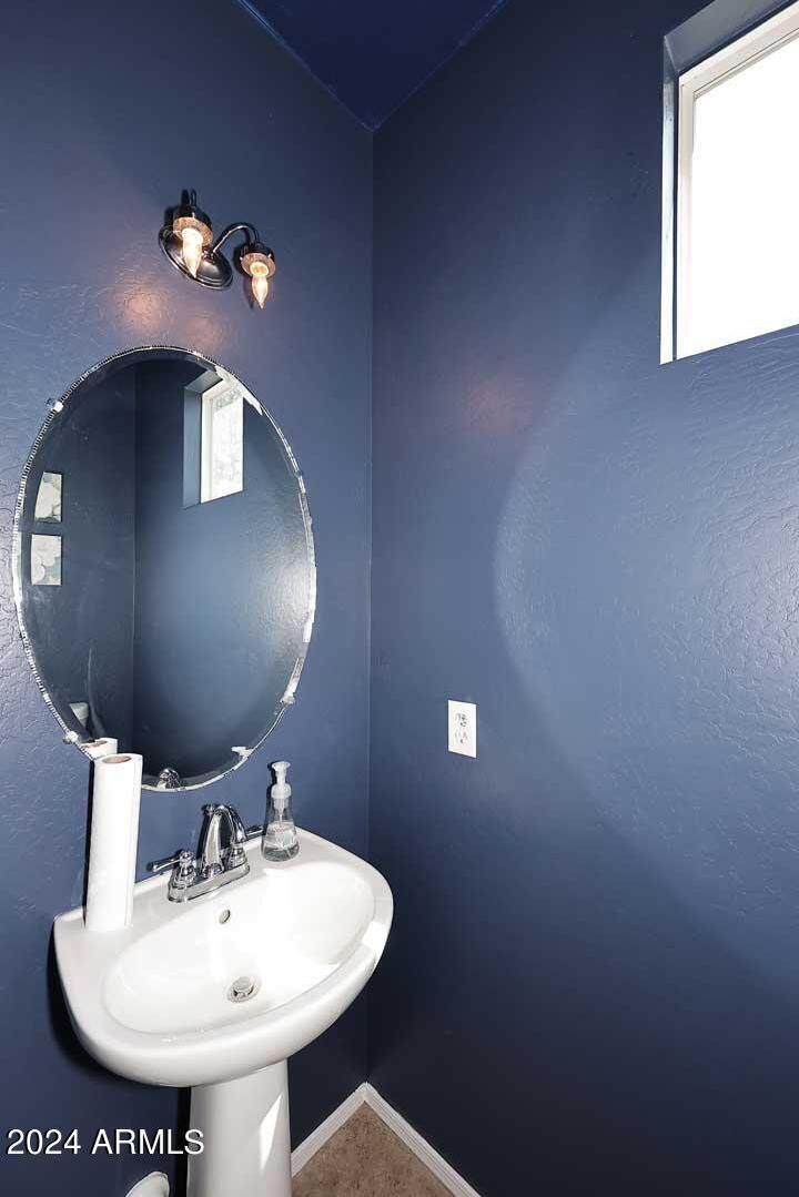Photo #14