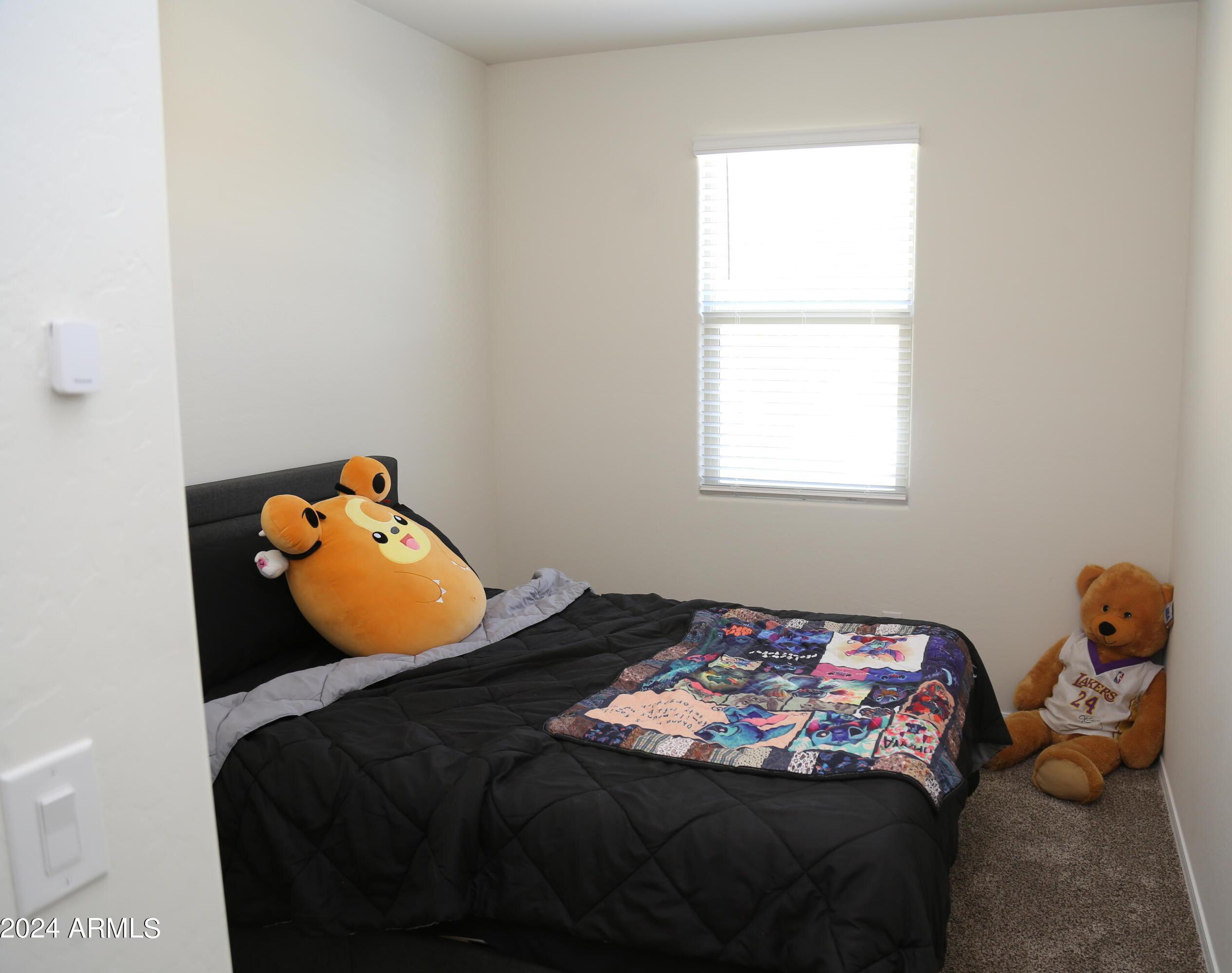 Photo #11