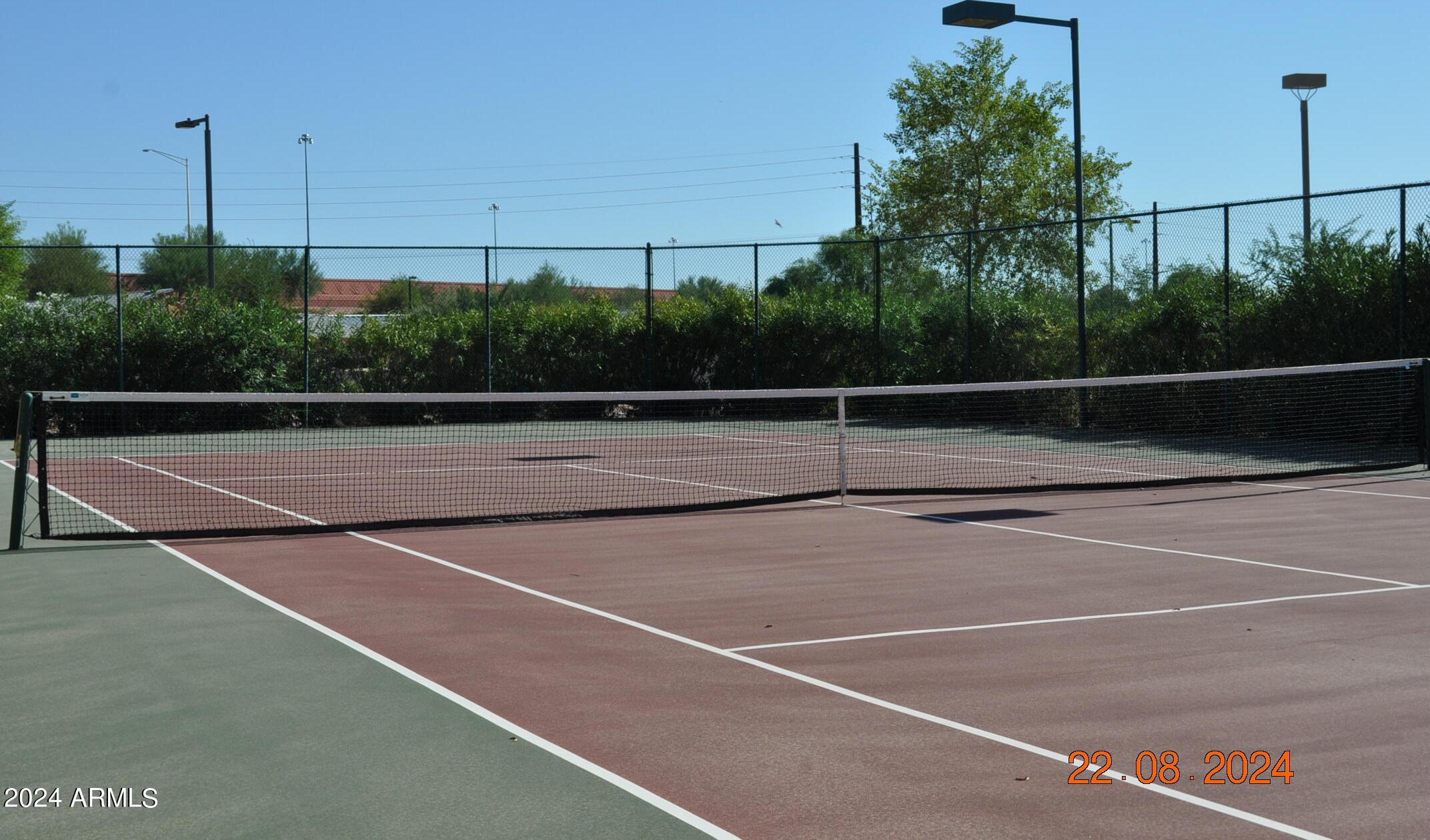 Photo #41