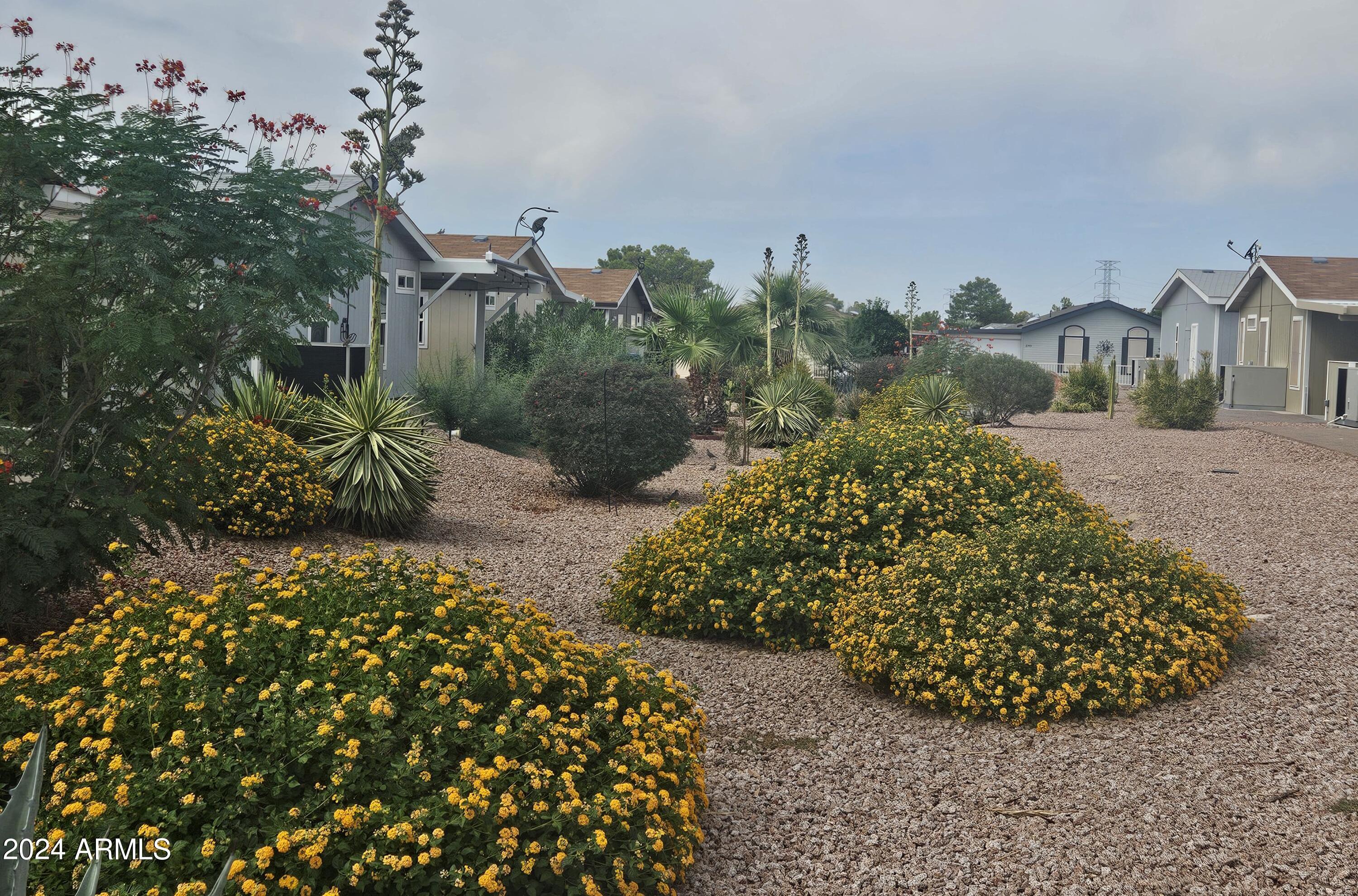 Photo #15
