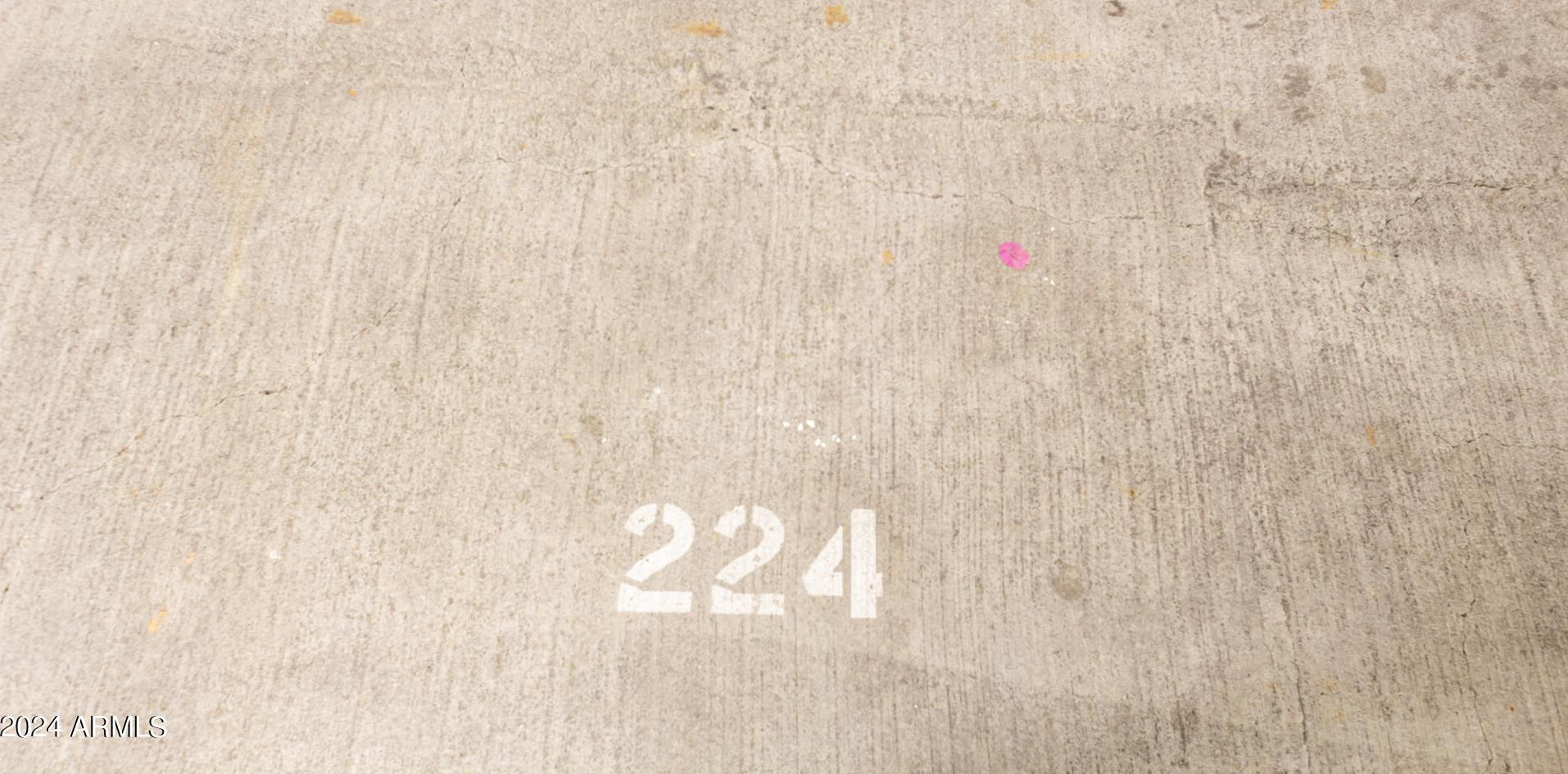 Photo #43