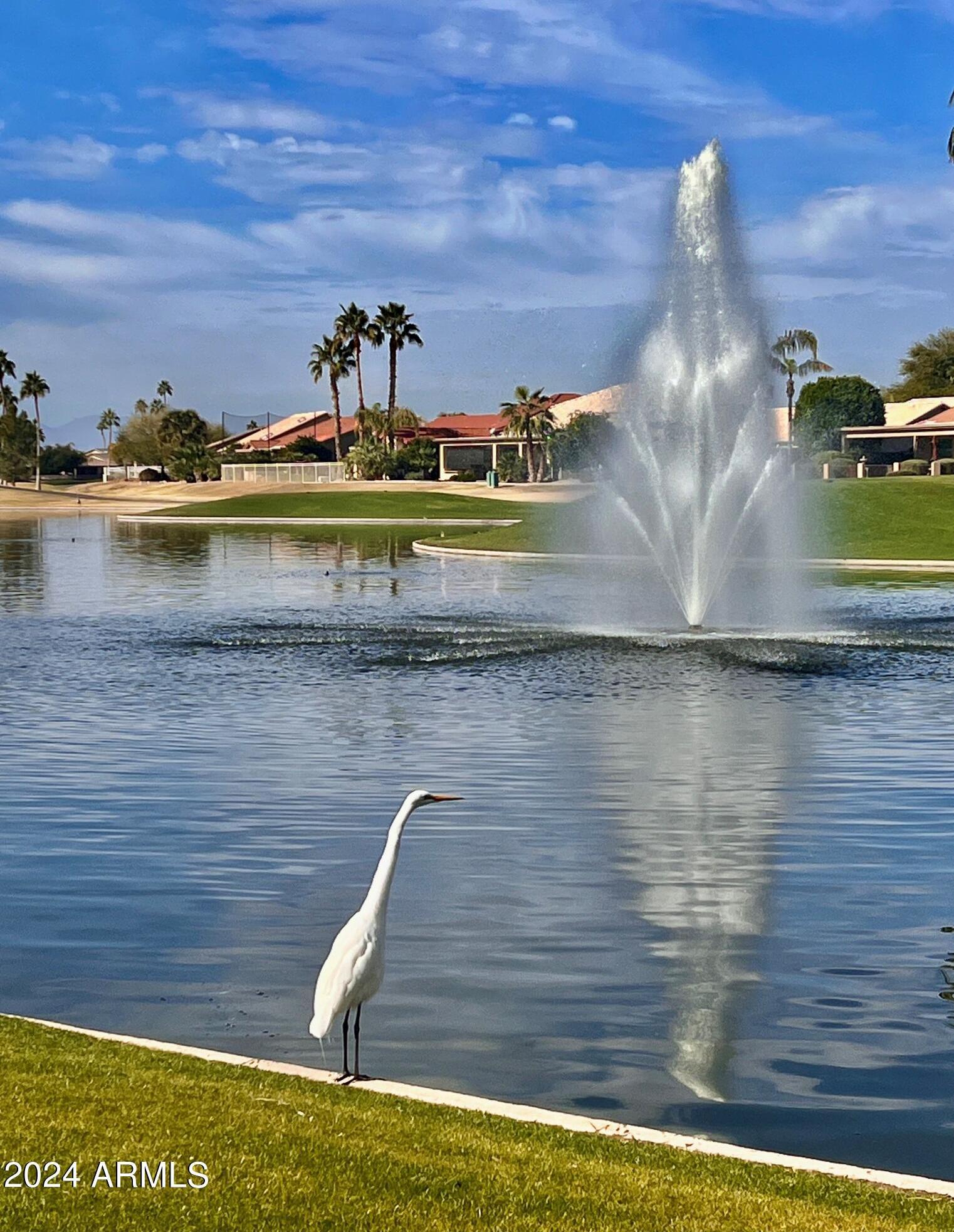 Photo #48