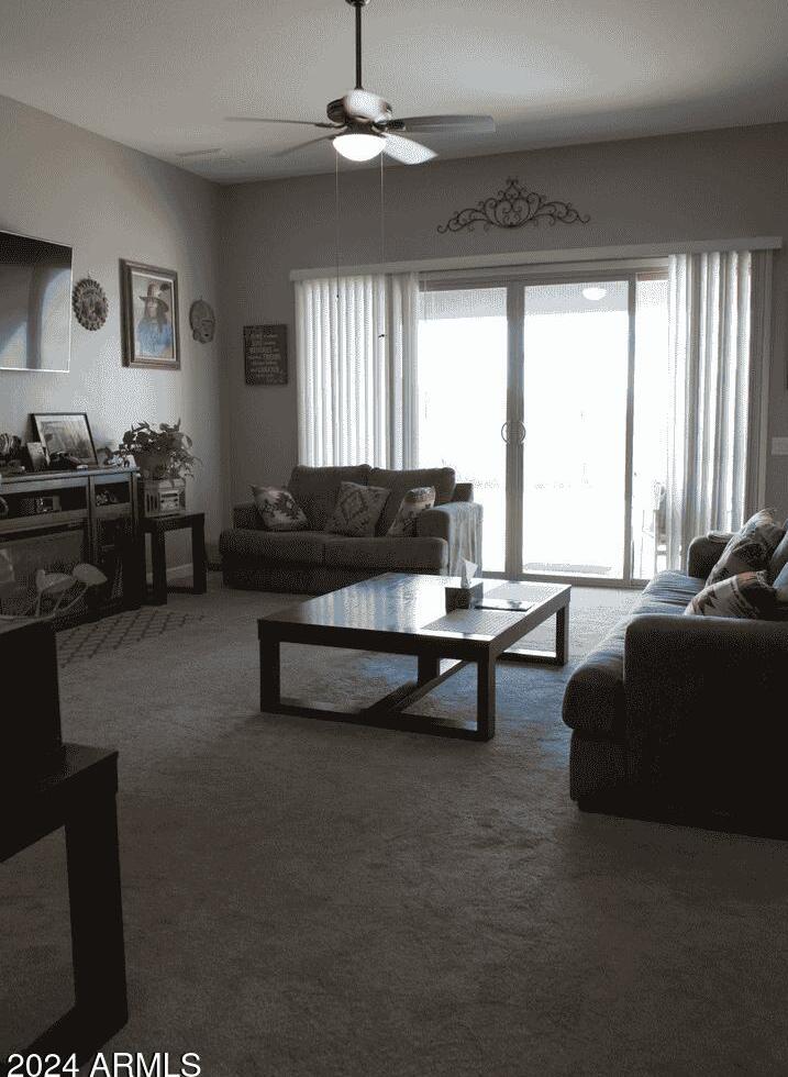 Photo #8
