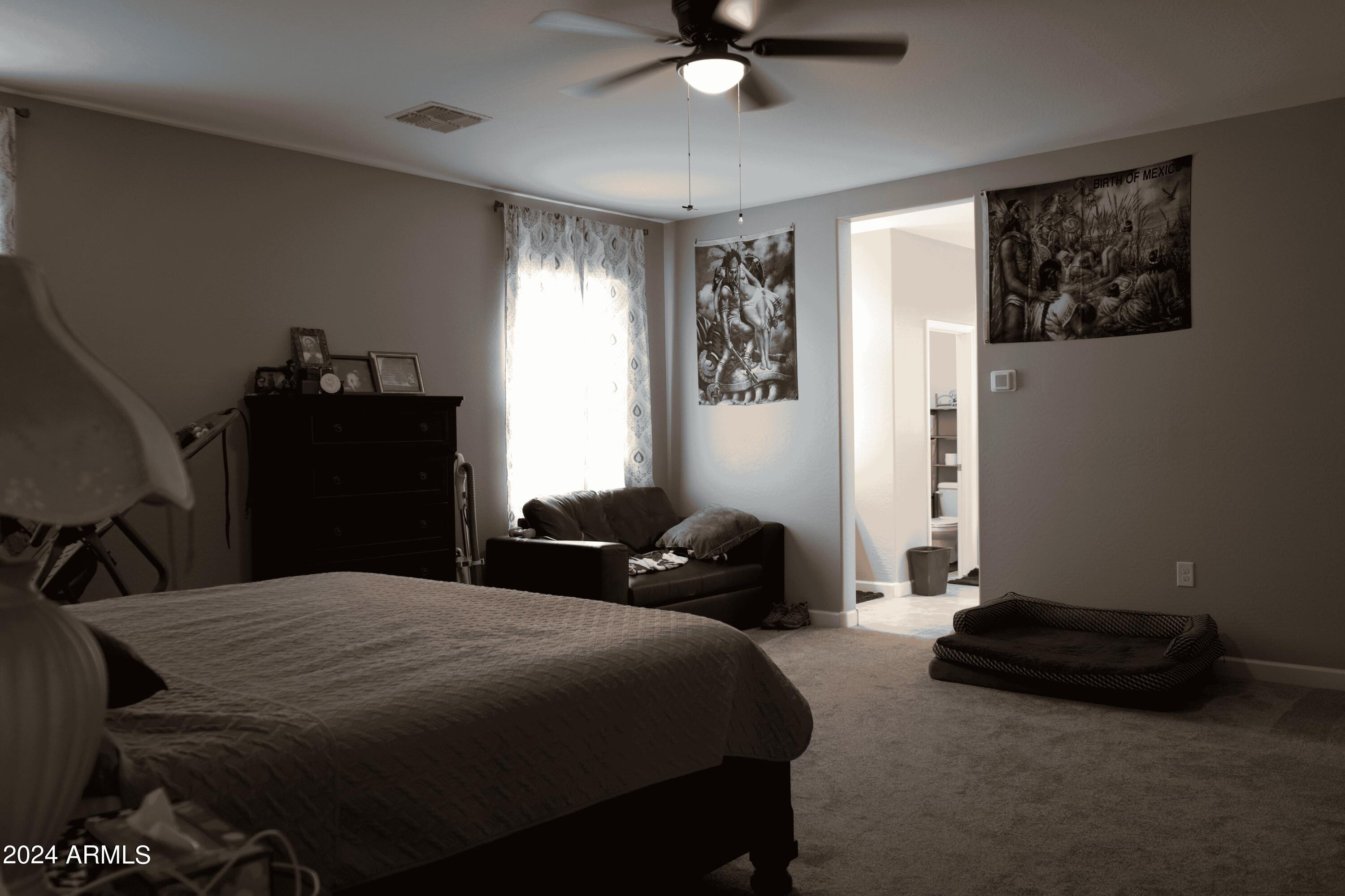 Photo #15