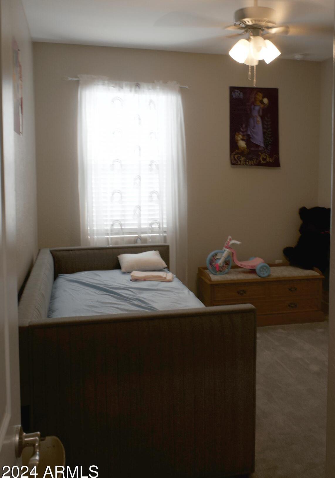 Photo #27