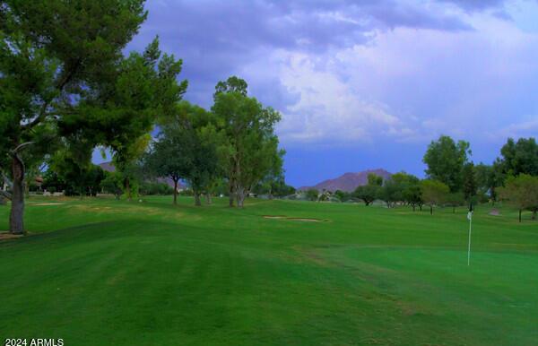 Photo #4