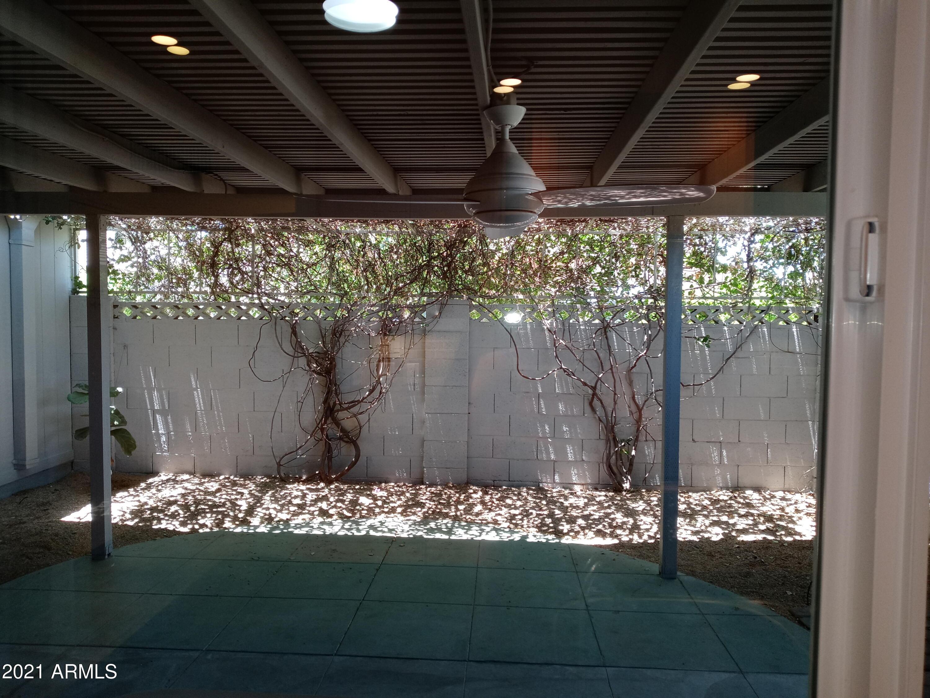 Photo #31