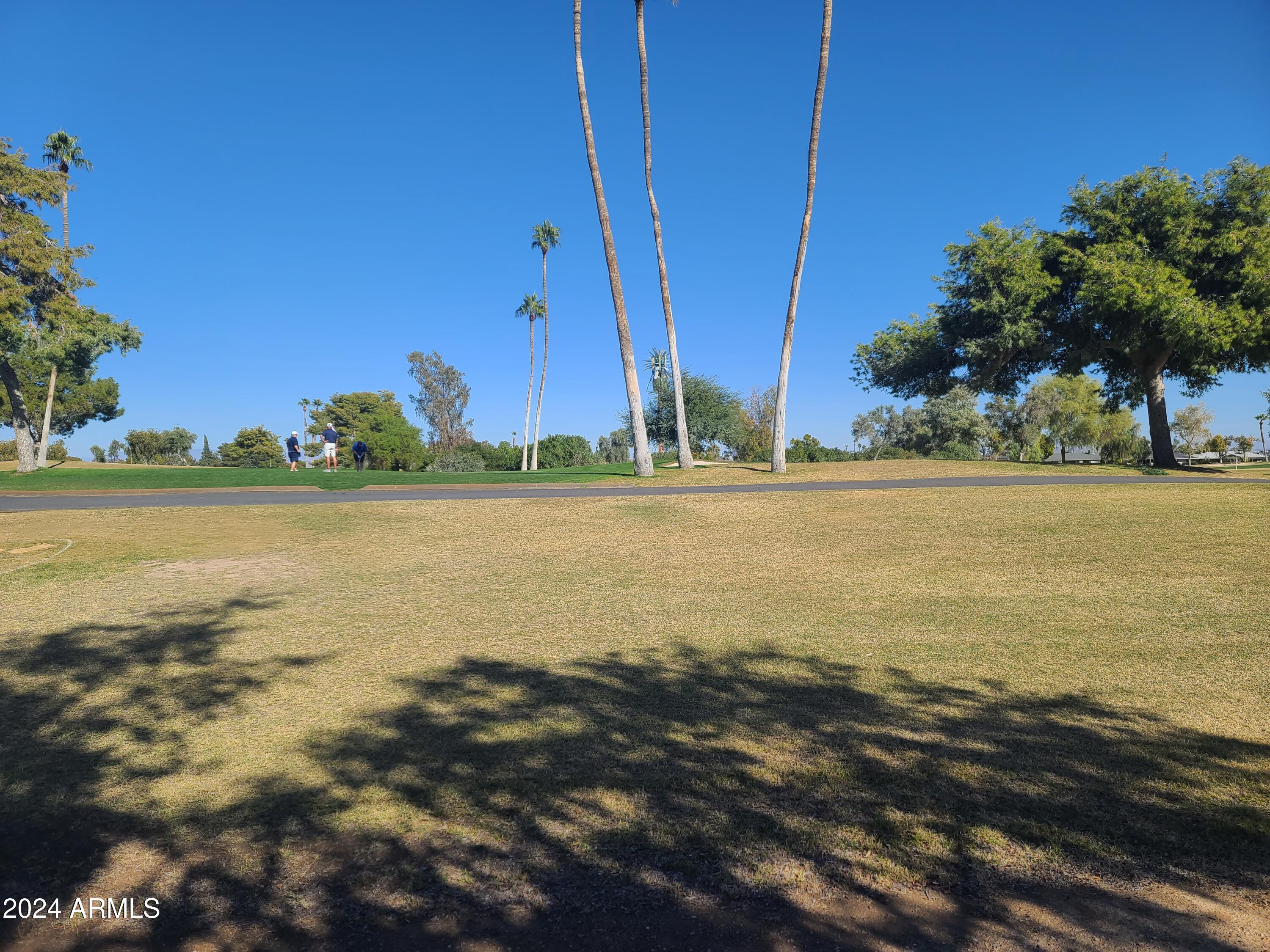 Photo #44