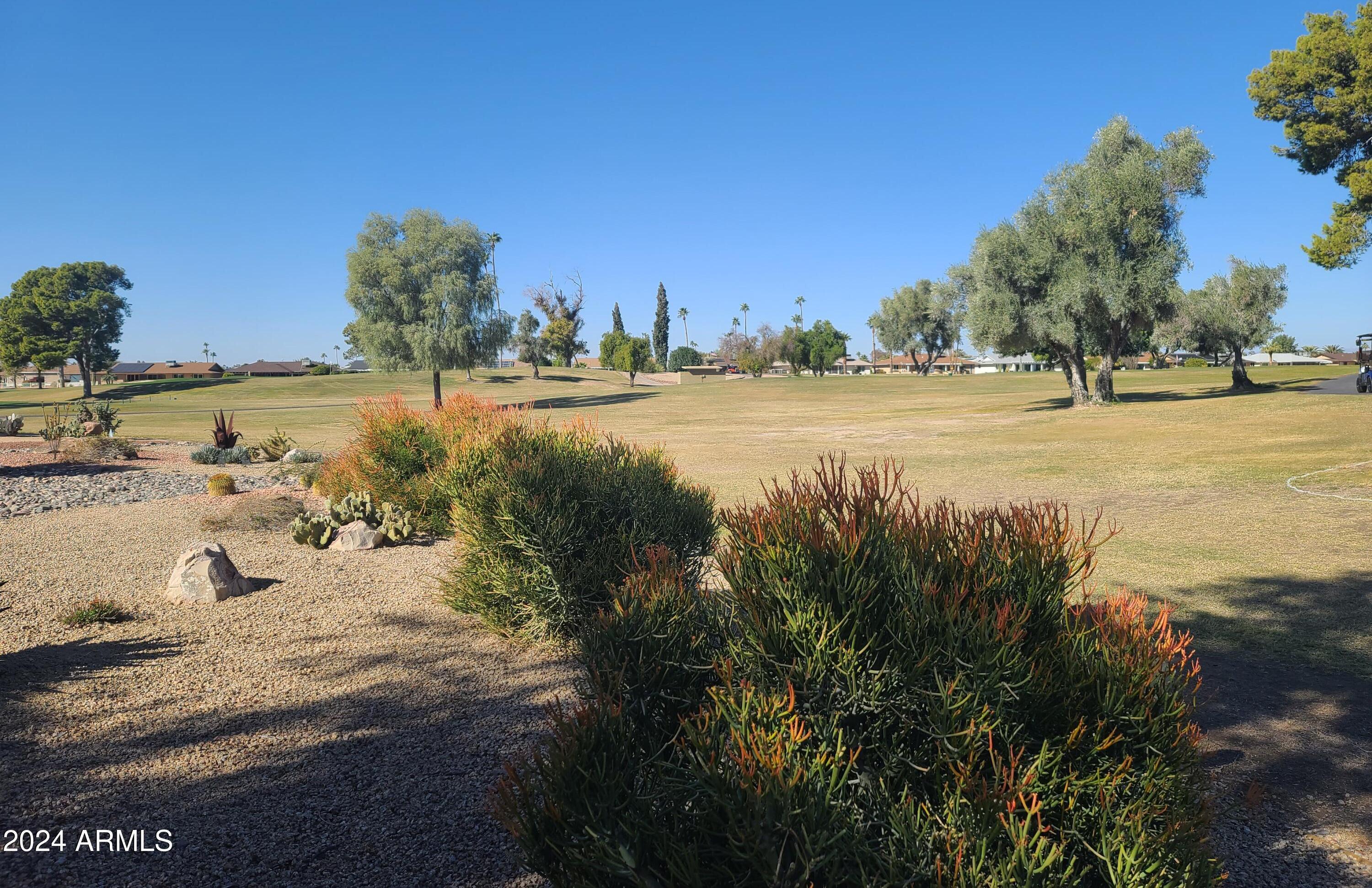 Photo #42