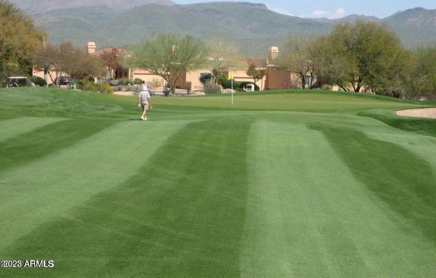 Photo #43