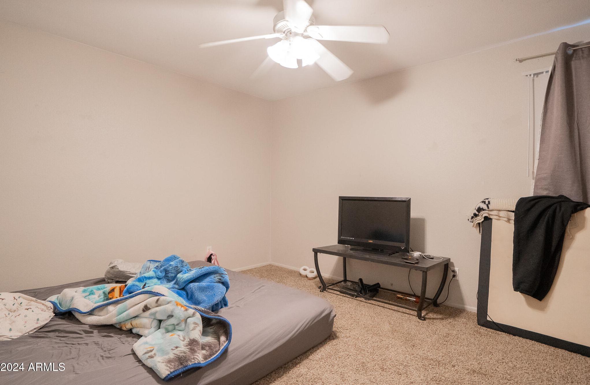 Photo #18