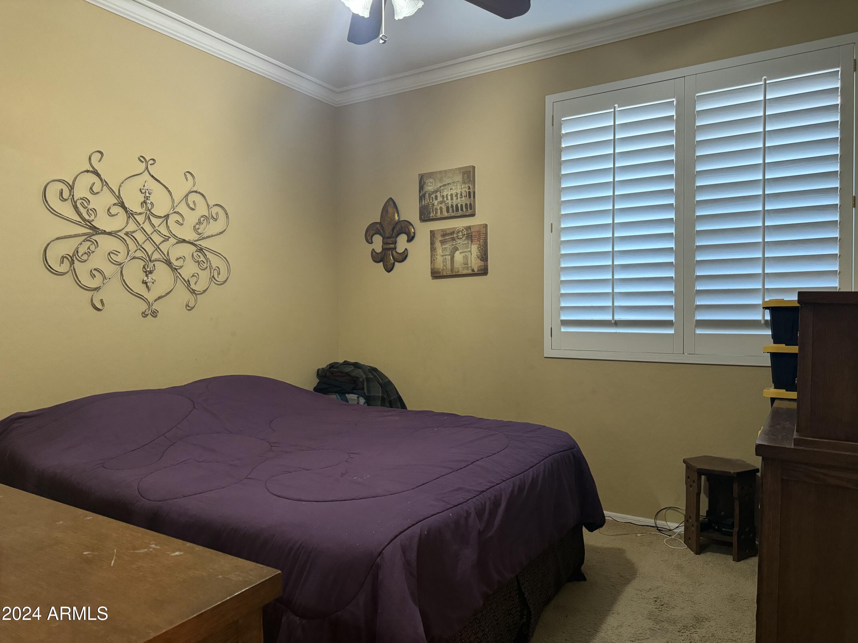 Photo #26