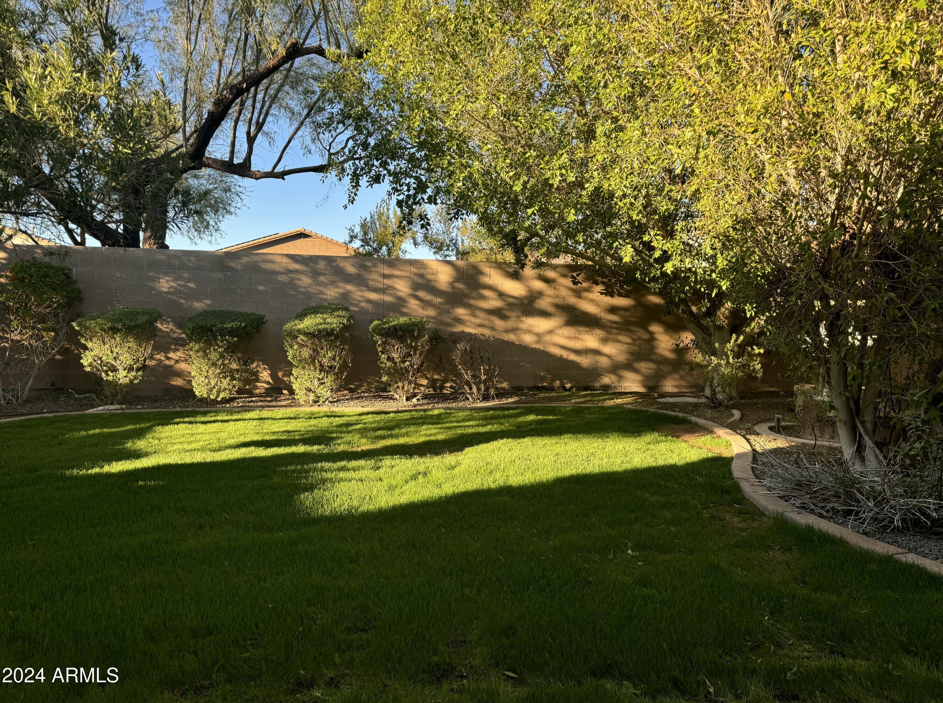 Photo #6