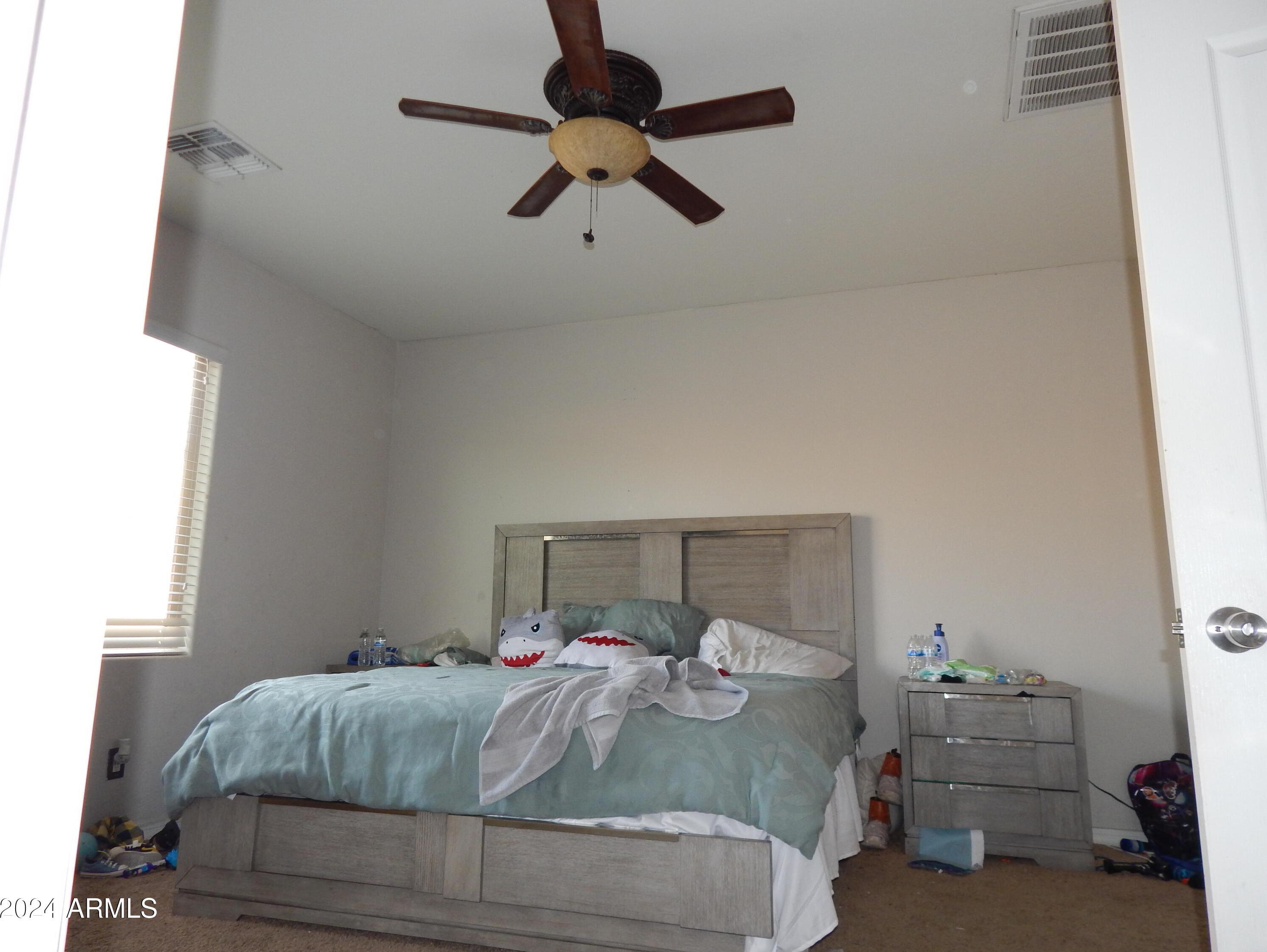 Photo #17