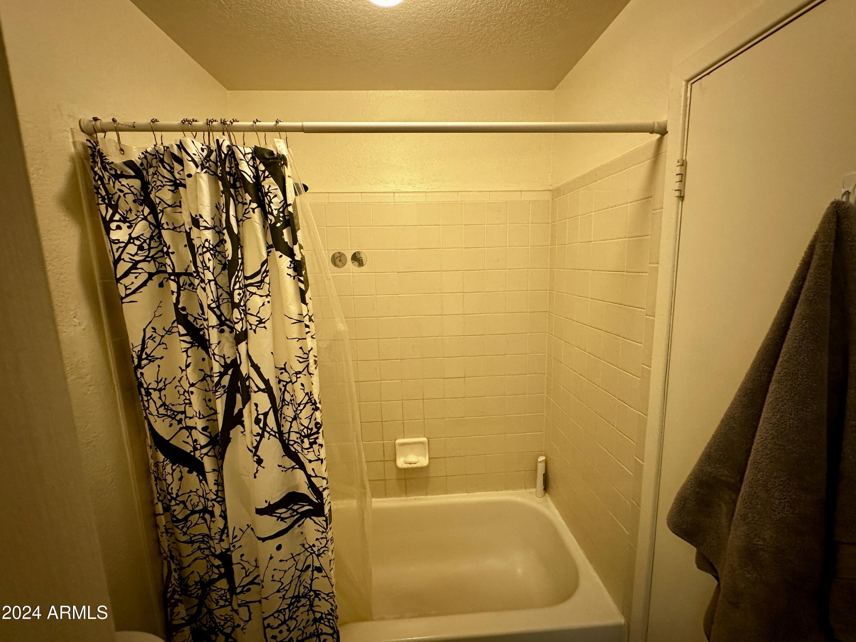 Photo #10