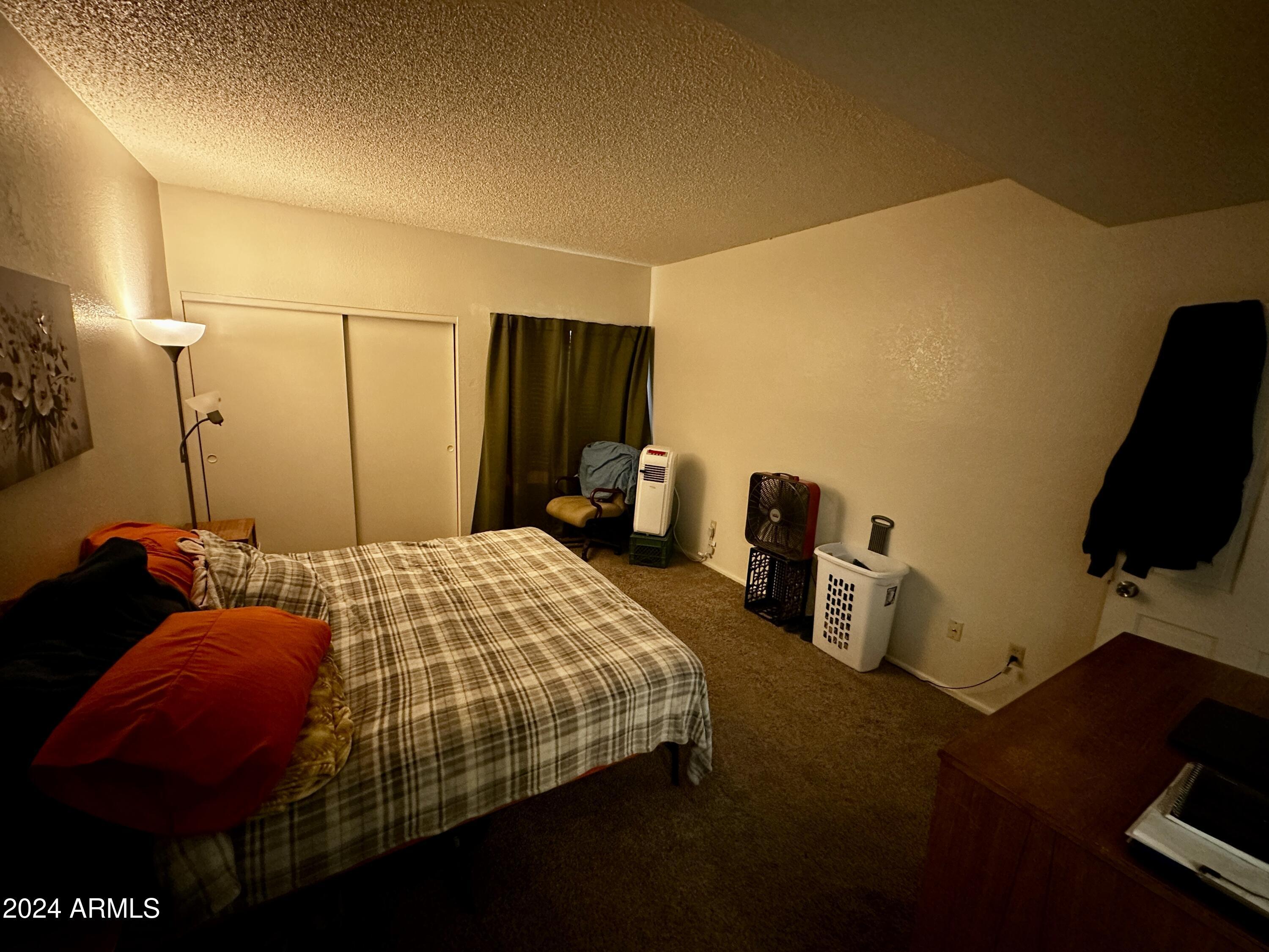 Photo #12