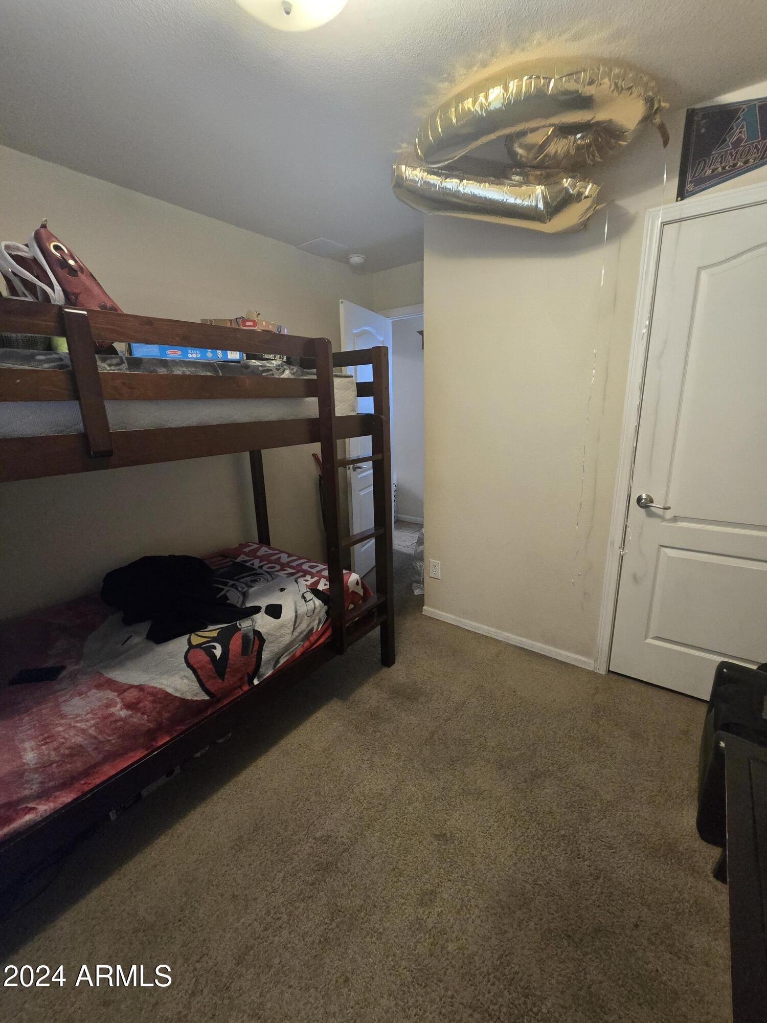 Photo #17