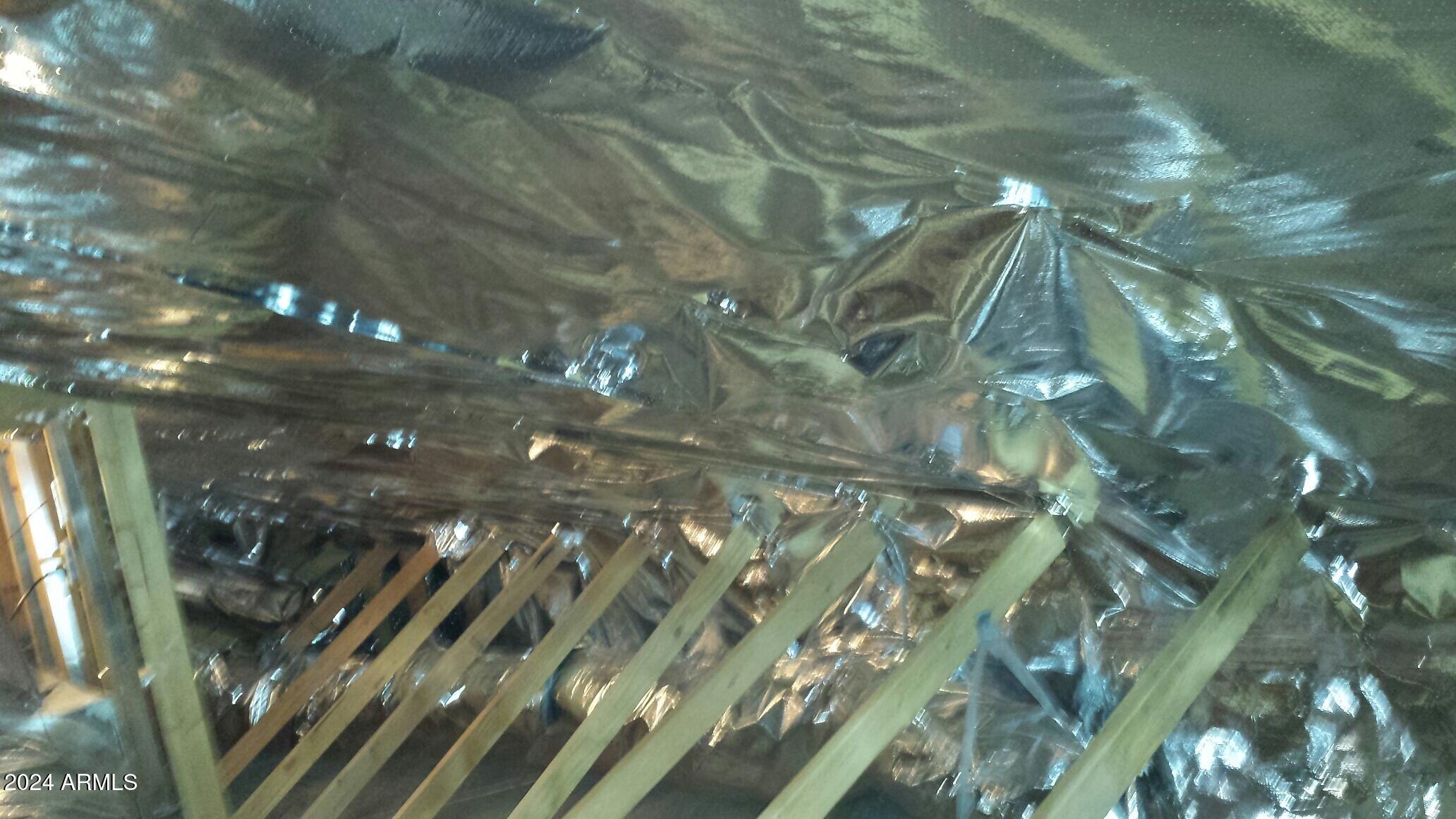Photo #49