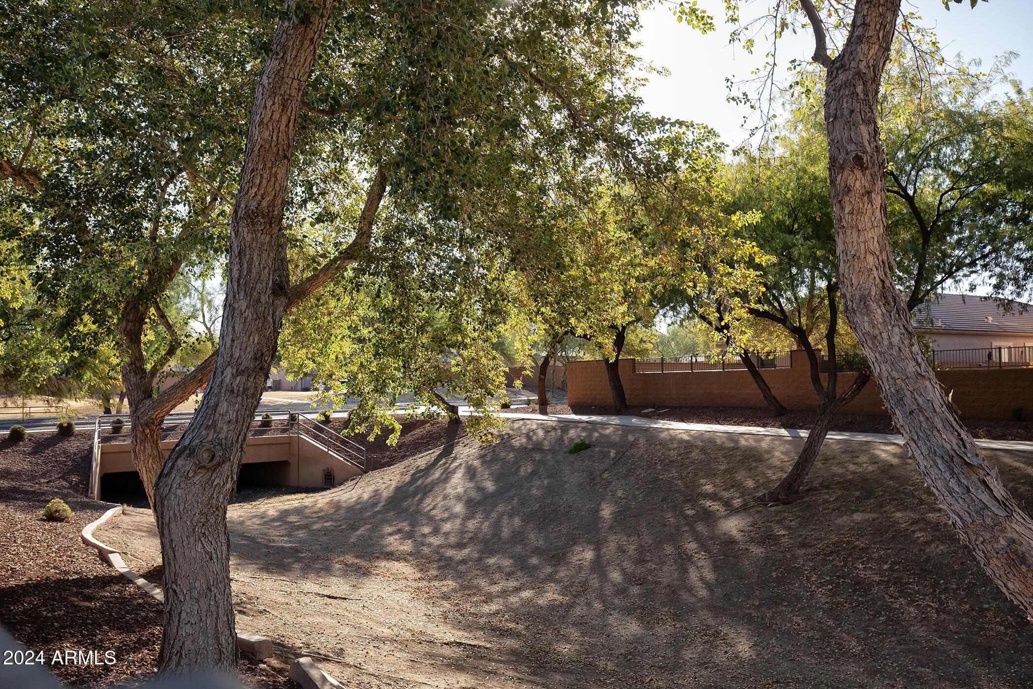 Photo #45