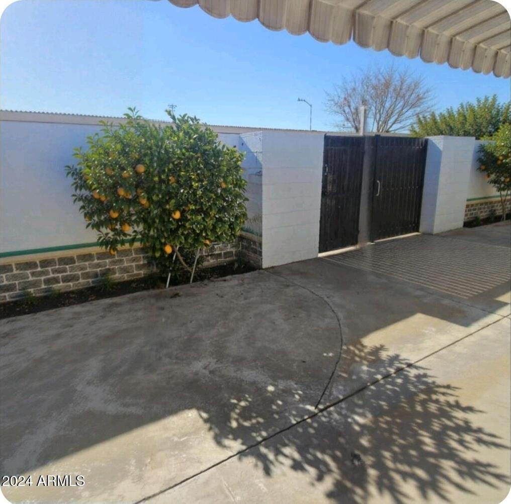 Photo #15