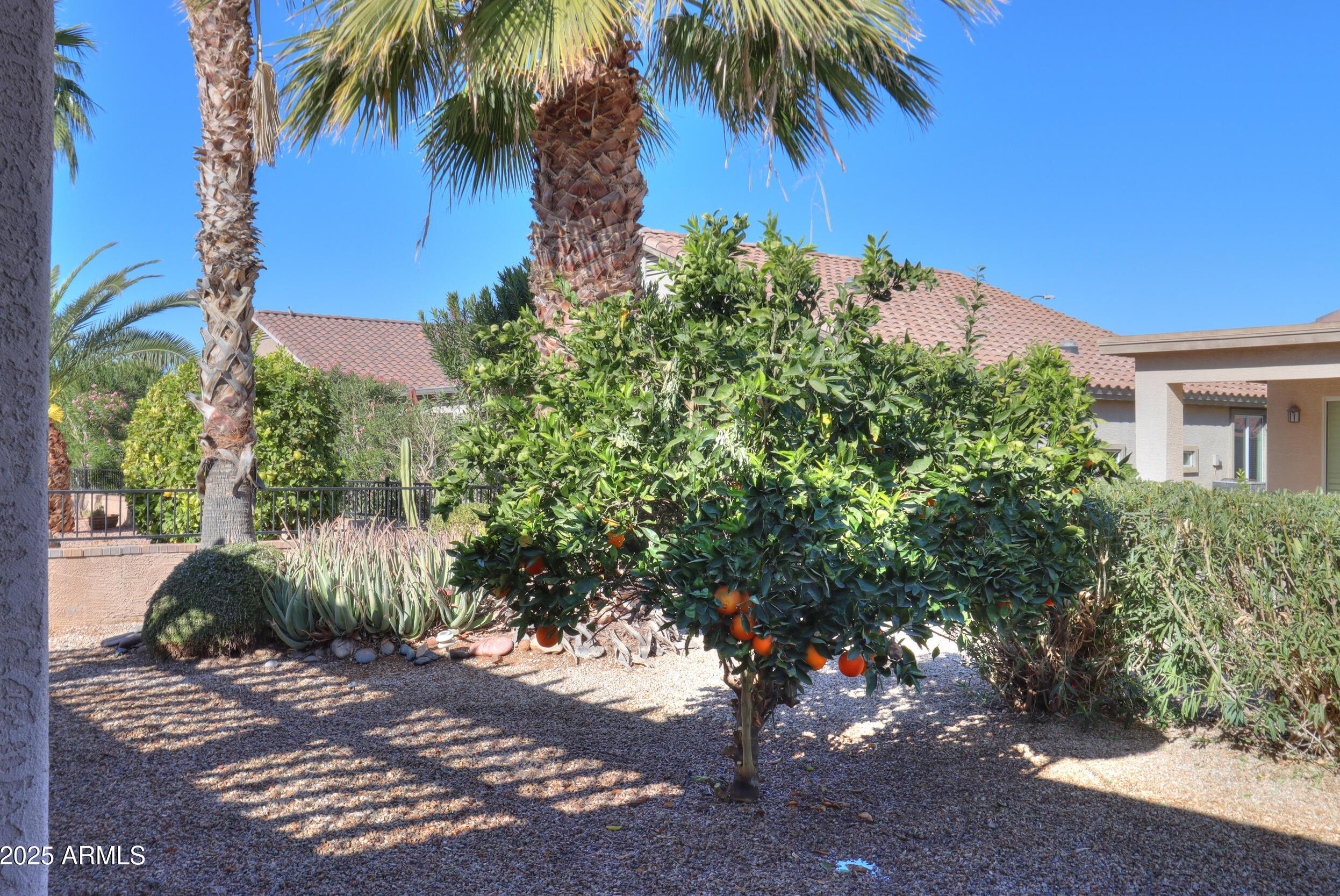 Photo #36