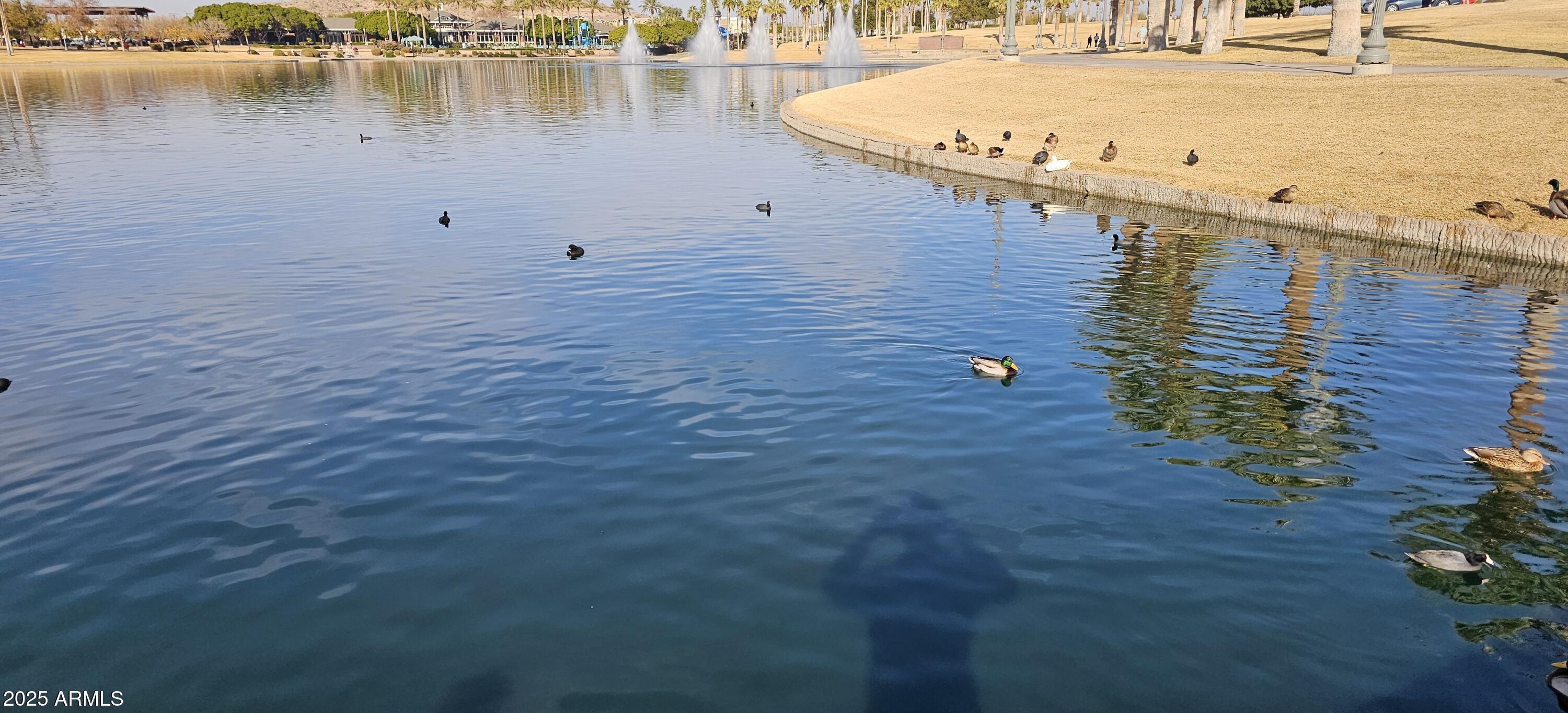 Photo #44