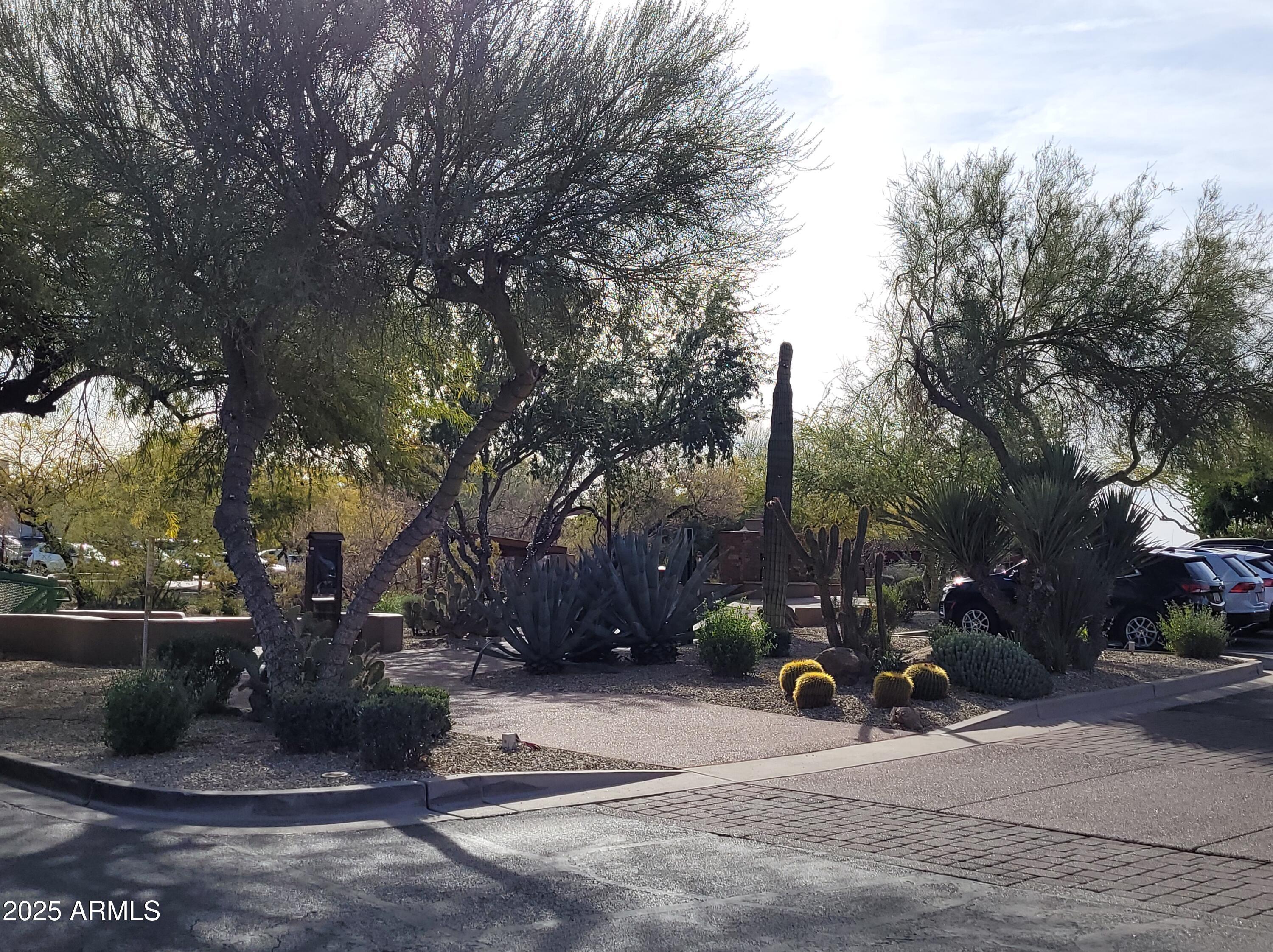 Photo #24