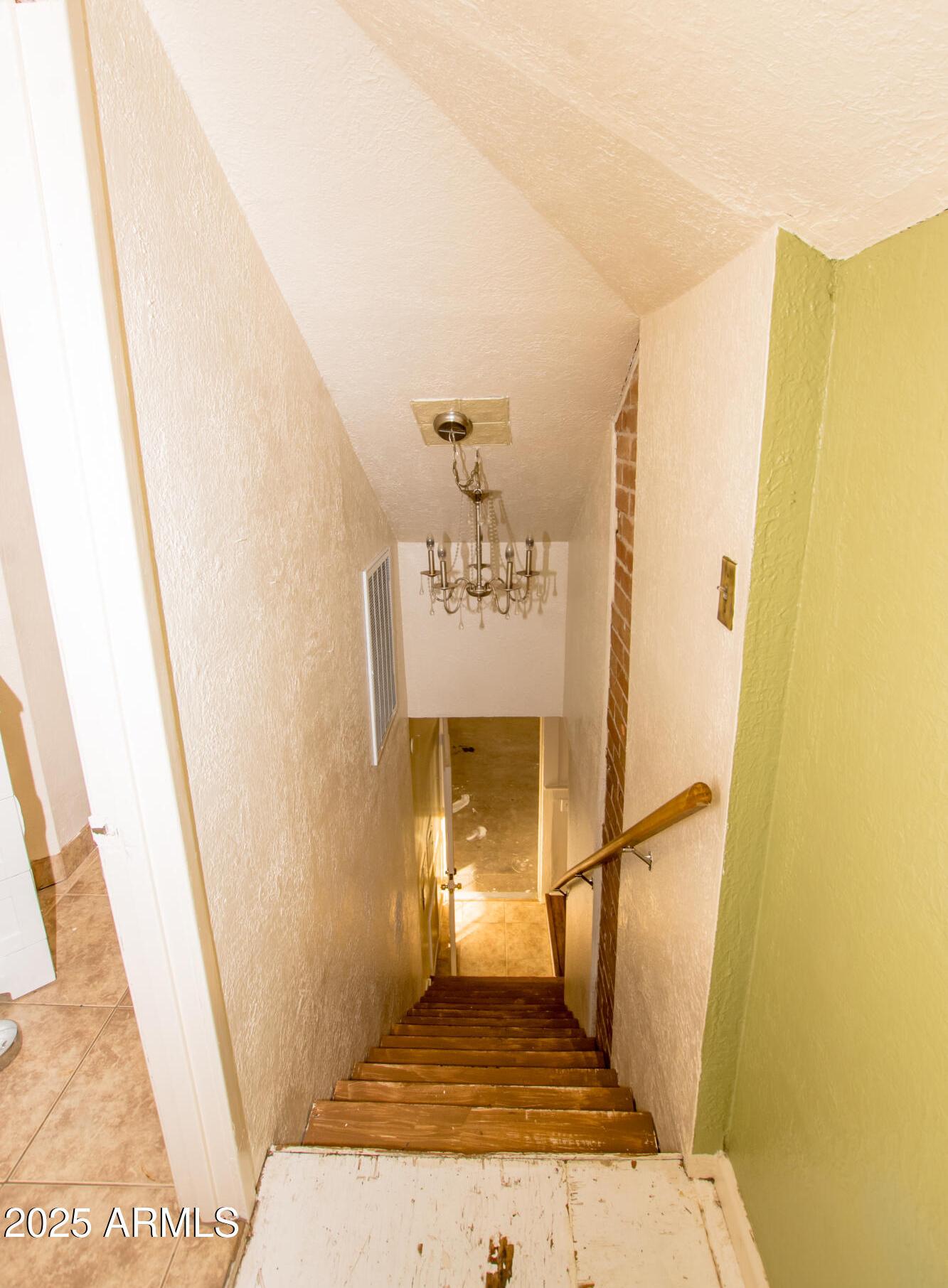 Photo #42