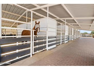 Spacious horse stable with multiple stalls and brick floor at 8185 E Alameda Rd, Scottsdale, AZ 85255